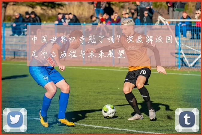 中国世界杯夺冠了吗？深度解读国足冲击历程与未来展望