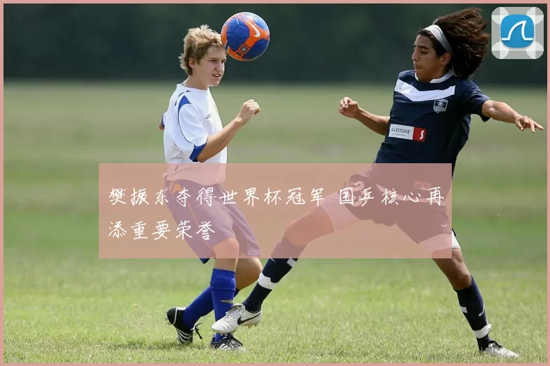 樊振东夺得世界杯冠军 国乒核心再添重要荣誉