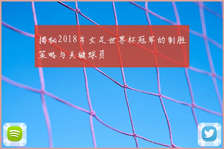 揭秘2018年女足世界杯冠军的制胜策略与关键球员