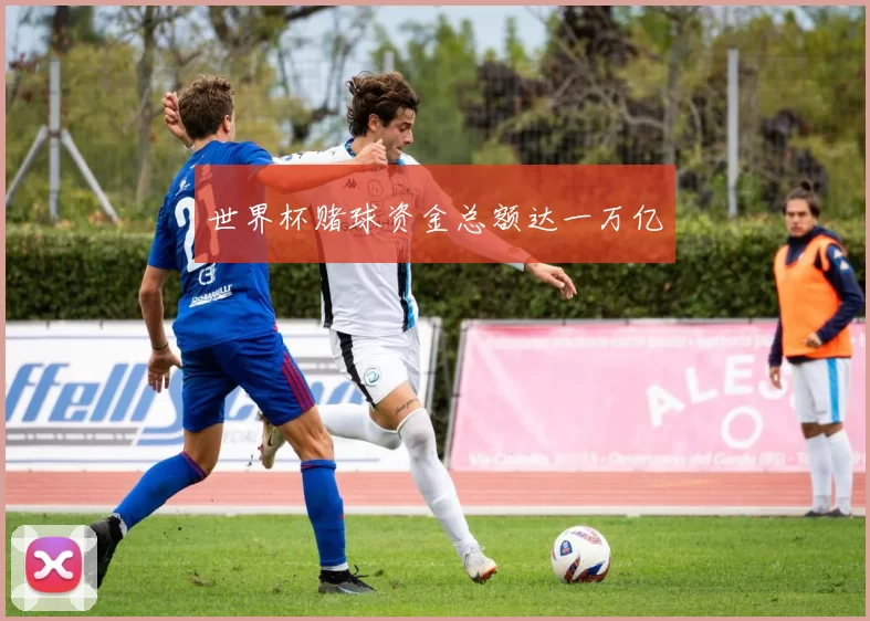 世界杯赌球资金总额达一万亿