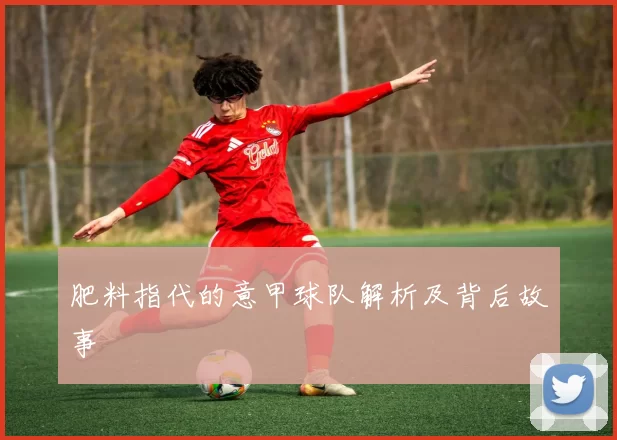 肥料指代的意甲球队解析及背后故事