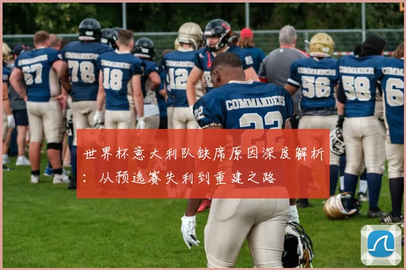 世界杯意大利队缺席原因深度解析:从预选赛失利到重建之路
