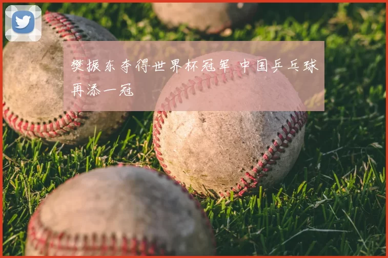 樊振东夺得世界杯冠军 中国乒乓球再添一冠