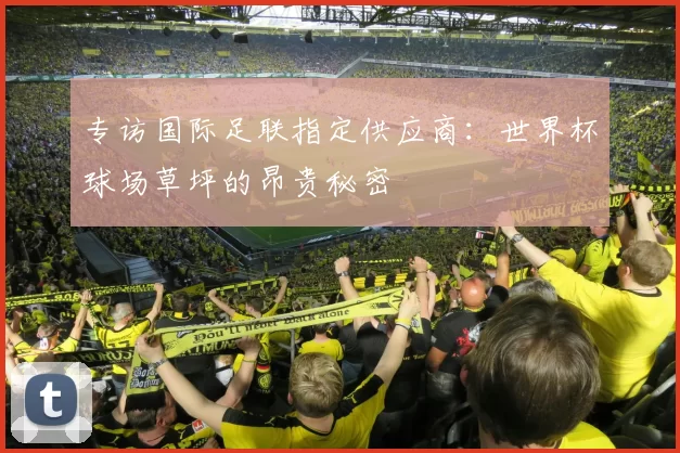 专访国际足联指定供应商：世界杯球场草坪的昂贵秘密