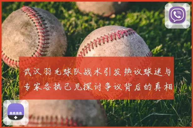 武汉羽毛球队战术引发热议球迷与专家各执己见探讨争议背后的真相